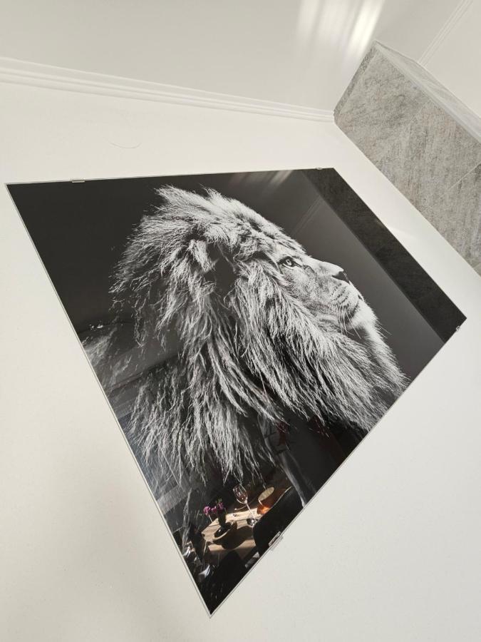 Apartmani Dado Čavle Eksteriør billede
